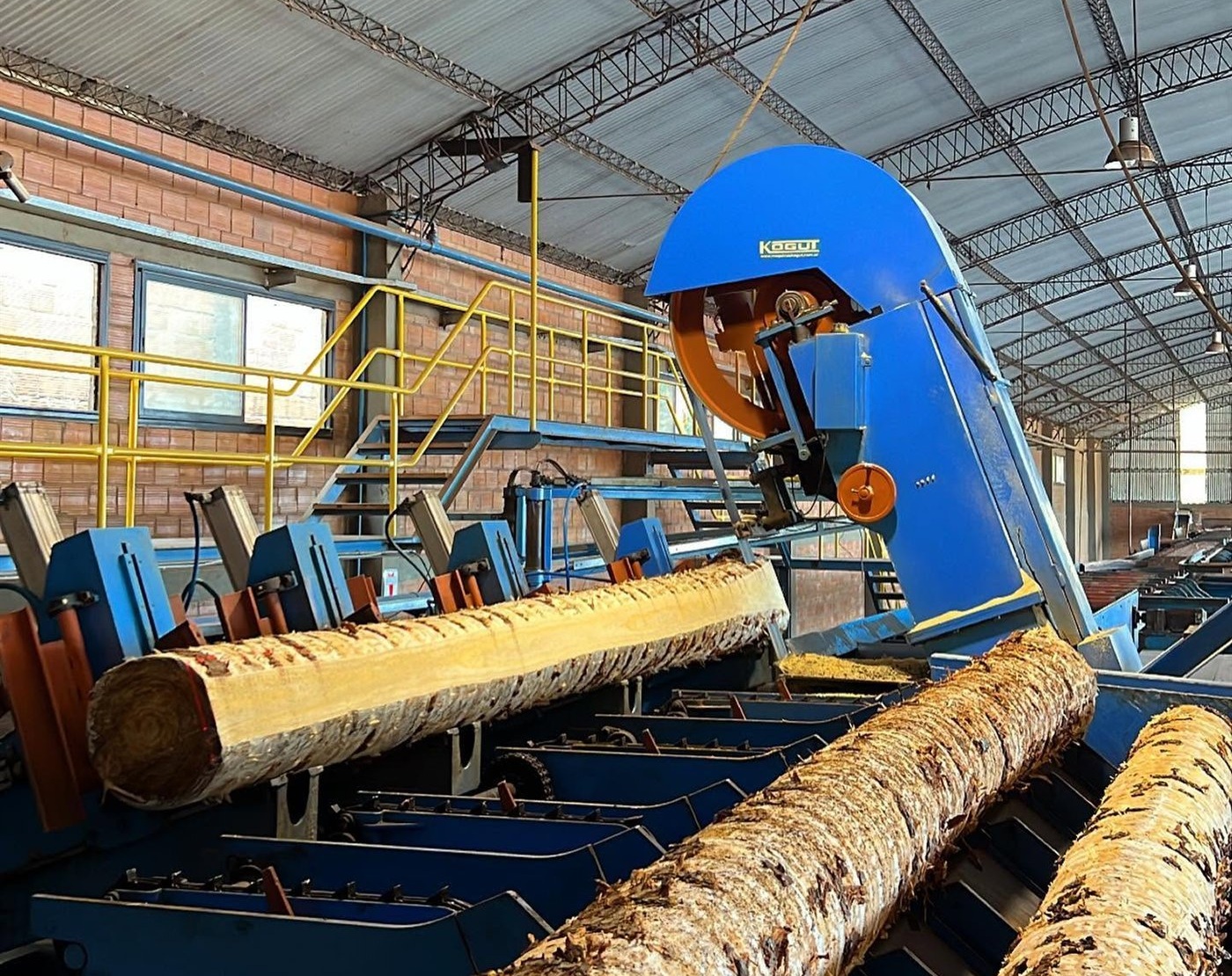 Troncos durante el proceso real de aserrado en planta